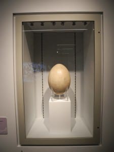 nca-attenborough-egg-2