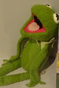 Photo of a kermit the frog soft toy