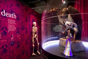 Skeleton, vulture and Mexican figurine on display in exhibition