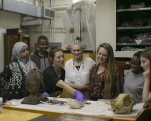 Natural History Curator Bonnie gives a tour of the store to the youth panel hopefuls