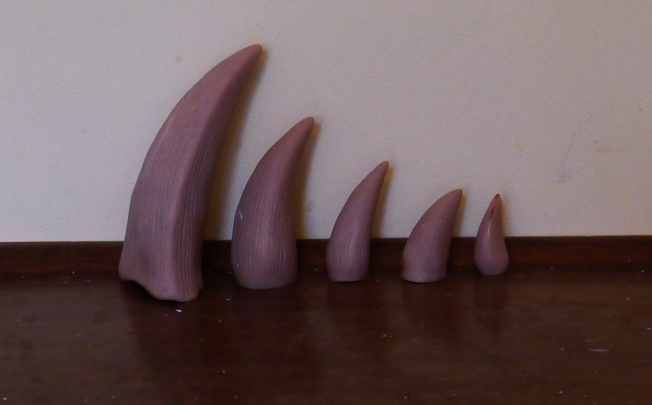 An image of 5 teeth made by Tony to replicate the Pliosaur's teeth.