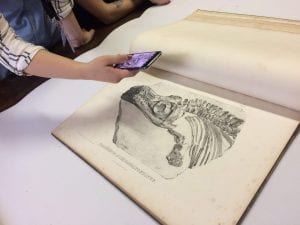 A drawing of a fossil being photographed by one of the young exhibition producers