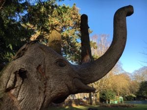 Carved elephants in St Andrew's Park