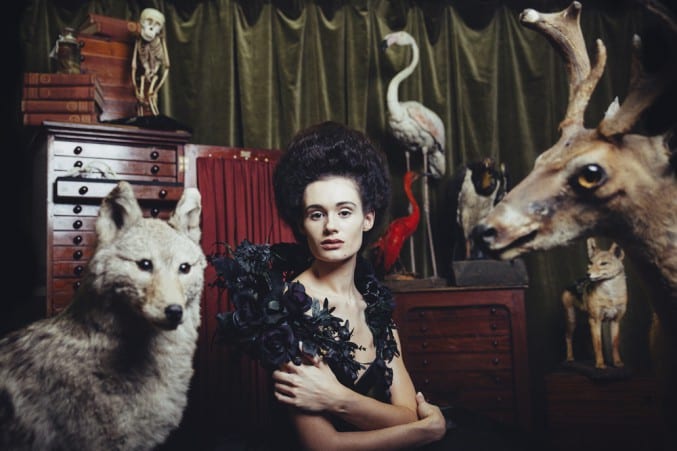 Photo of a woman sat within taxidermy animals and skeletons