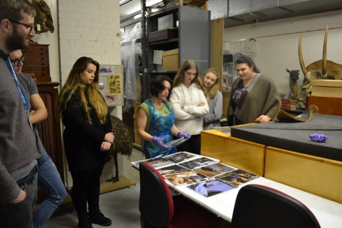 The Youth Panel in the basement of Bristol Museum inspecting specimens in the Natural History store