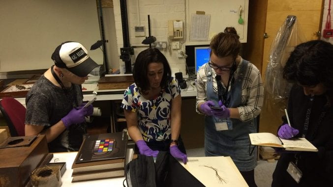 Anika, Marcin and Maisie stood around Rhian, curator for natural history making notes on an object