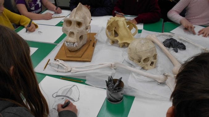 Home Educating Families sat round a table sketching animal and human skulls