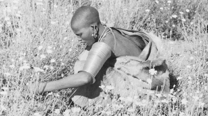 Kenyan woman picking pyrethrum, 1930sers