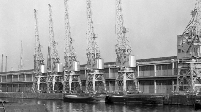 Featured image Cranes