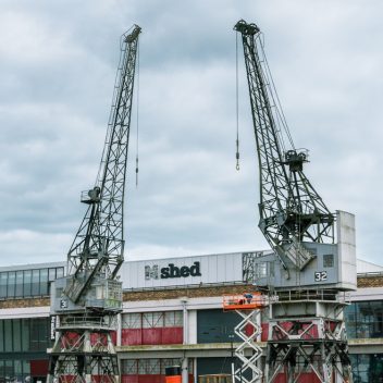Photograph of the cranes facing each other