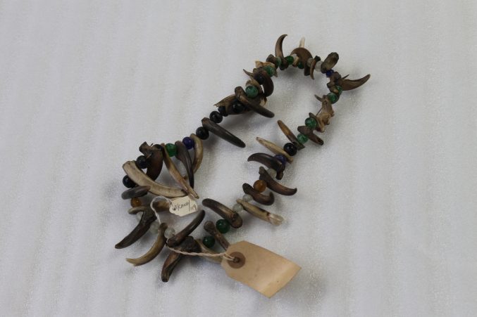 Necklace made from bear claws, coloured beads (green, white, orange and blue) and teeth. Canada.