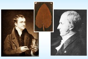 Photographs of Humphrey Davy and Thomas Wedgwood. Between their photos is an image of a brown leaf