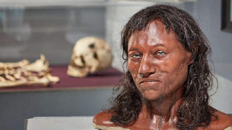 Archaeology online: The genetic prehistory of Britain