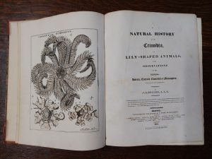 Title page and frontispiece of A Natural History of the Crinoidea, by J. S. Miller, 1821. From the collection of Bristol Museum & Art Gallery