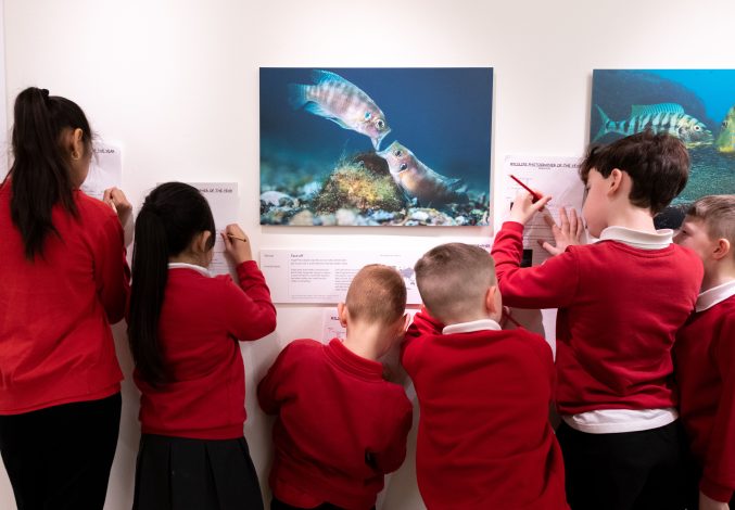 Six school children dressed in red uniforms are all leaning against a wall and each drawing on a piece of paper. There's a photo of two fish hung on which they're all crowded around.