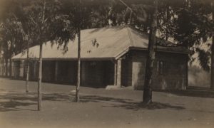 Black and white photo of a small and relatively plain building (hospital) surrounded by slim trees.