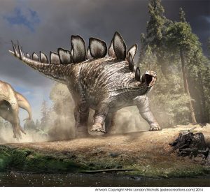 illustration of T Rex and Stegosaurus by Bob Nicholls