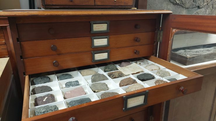 Workshop: Rocks and fossils