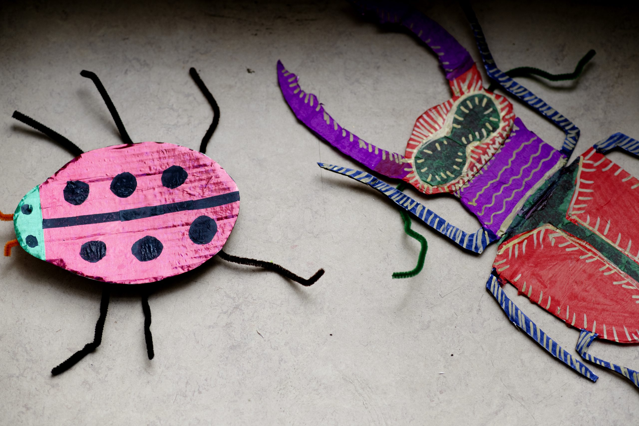 painted colourful cardboard bettlle and ladybird