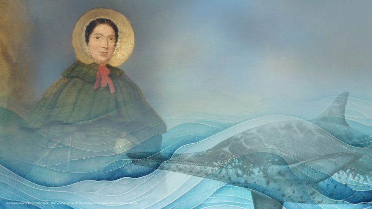 Lunchtime talks: Making waves: Mary Anning and her astonishing ichthyosaur
