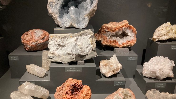 KS2 Workshop: British Science Week - Rocks & Fossils