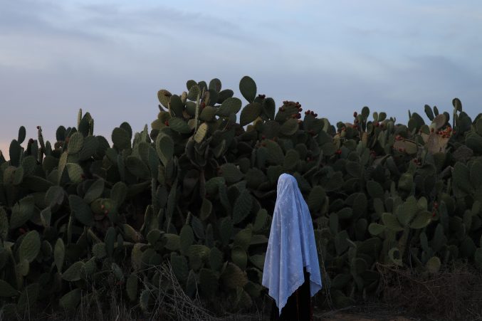 A woman in a long white headscarf stands in a field of cactus