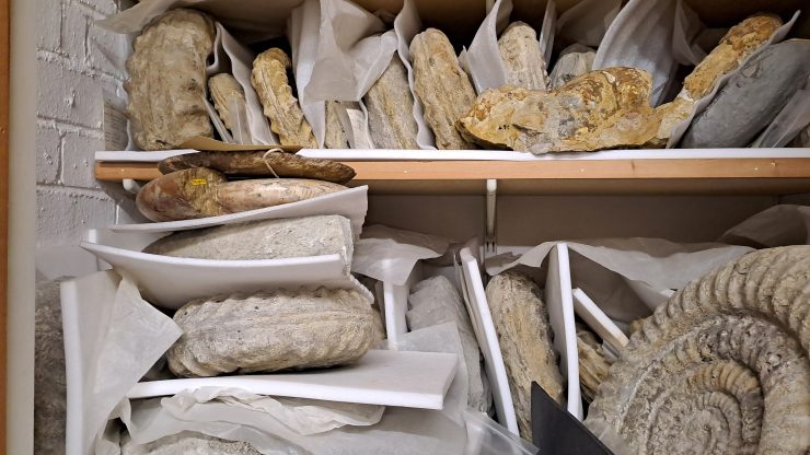 Home Educator activity: Geology Store tours
