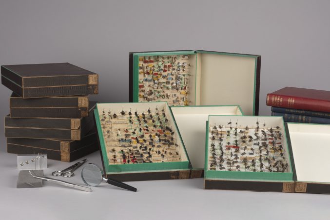 green and brown boxes containing pinned fly specimens