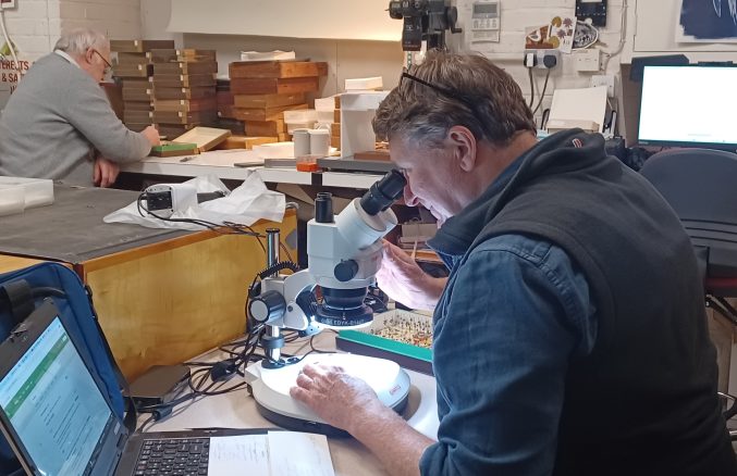 two men study a collection of flies in a lab, one is looking through a microscope