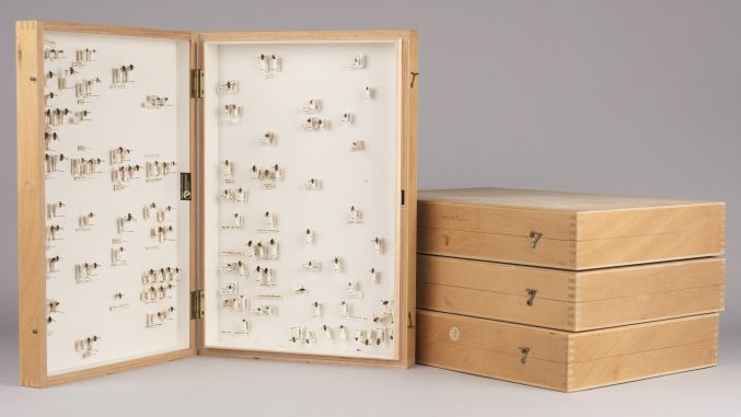wooden display boxes with pinned flies